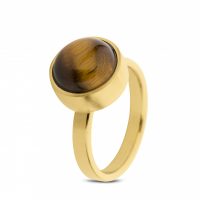 silent-stones.nl-as ring TadBlu-staal-Gold-Tigers-Eye