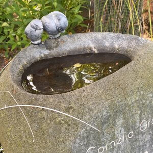 urn monument met water en vogels