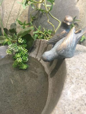 bronzen vogeltjes drinken uit waterpoel